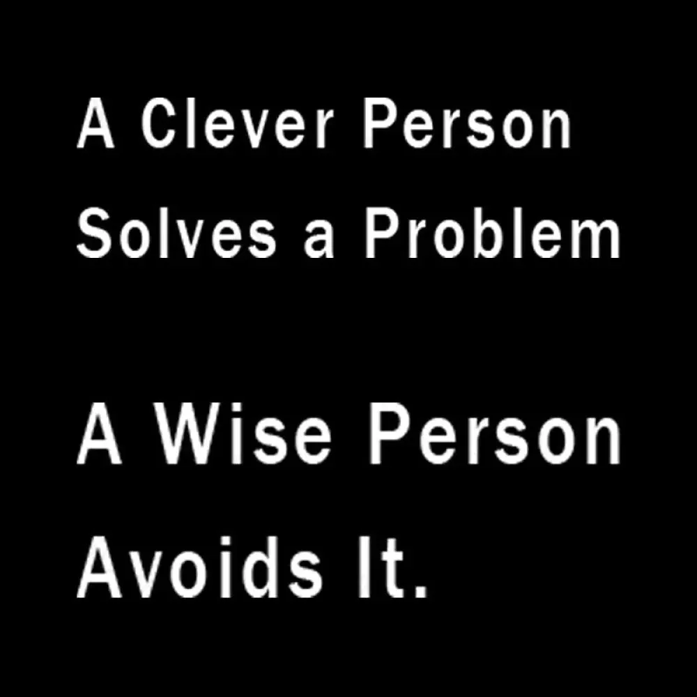 A Clever Person Solves a Problem A Wise Person Avoids It Geek T-Shirt