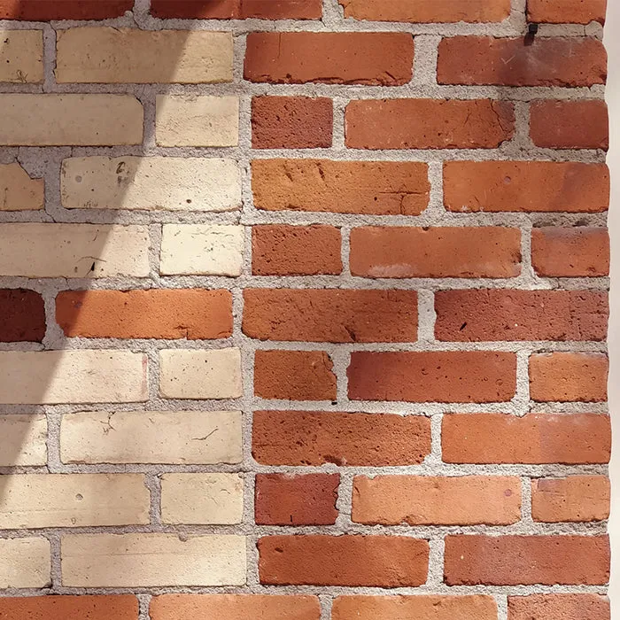 Woman By ADVICE Article Two Everyday Top Brick Brown